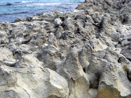 3 Curiosité géologique - calcaire - Rottnest Island